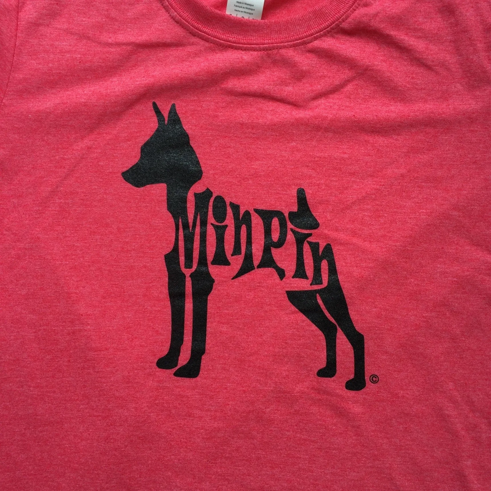 Miniature Pinscher