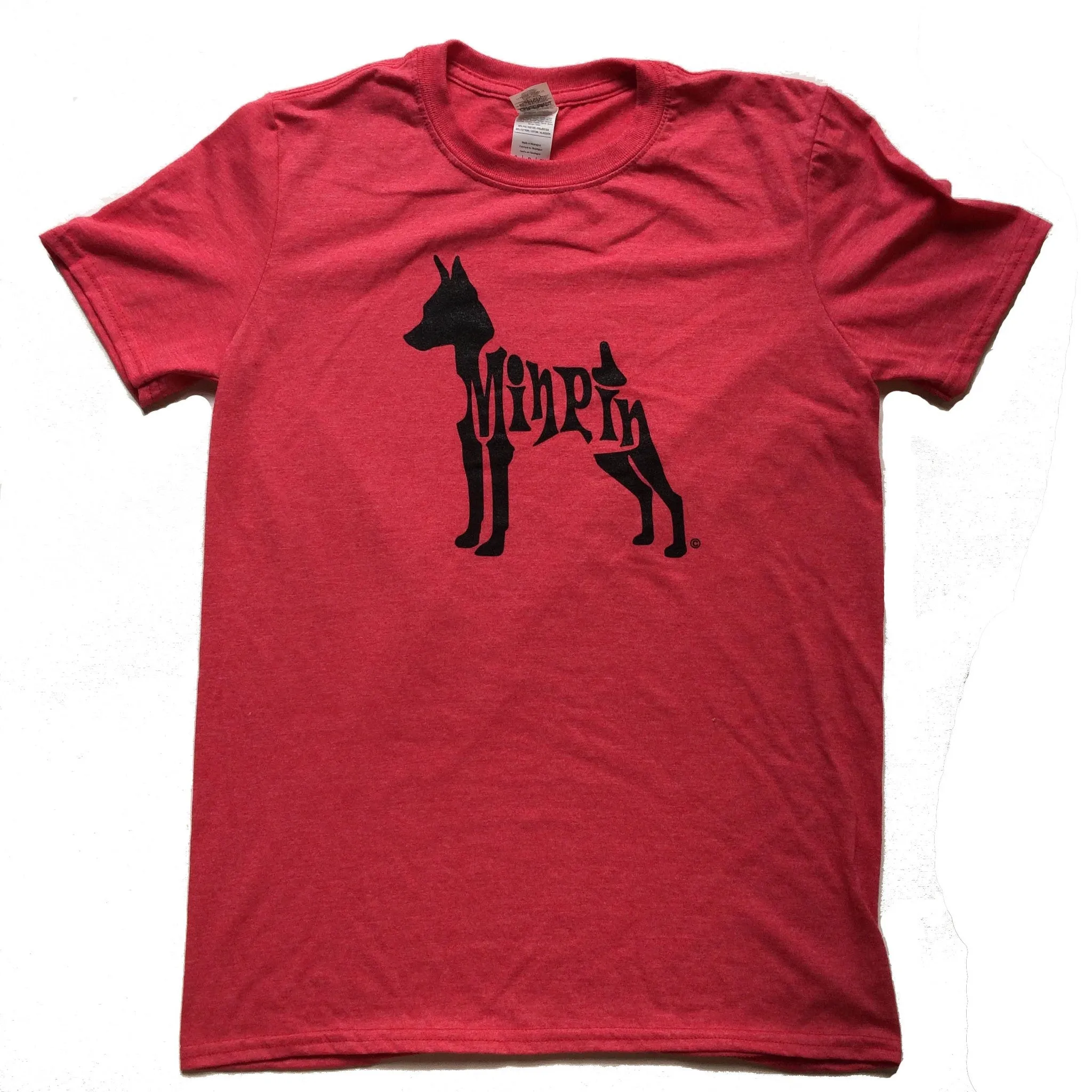 Miniature Pinscher